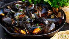 Les moules de Bouchot 