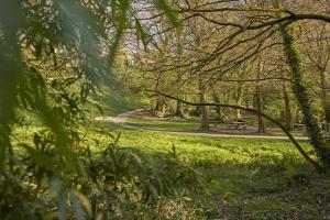 La forêt de Brocéliande