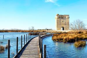 Visitez La Petite Camargue